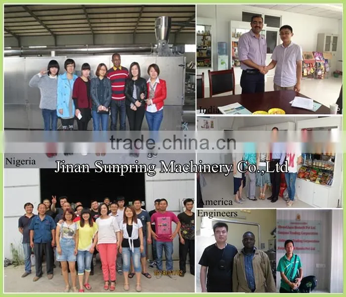 Hot Sale Twin Screw Artificial RIce Machine, Instant Rice Production Line With Best Price In China