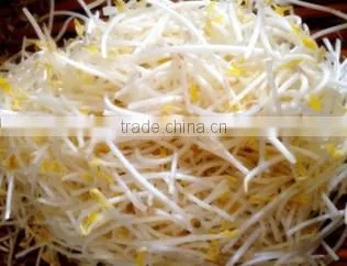 Wholesale price peeling machine washing machine