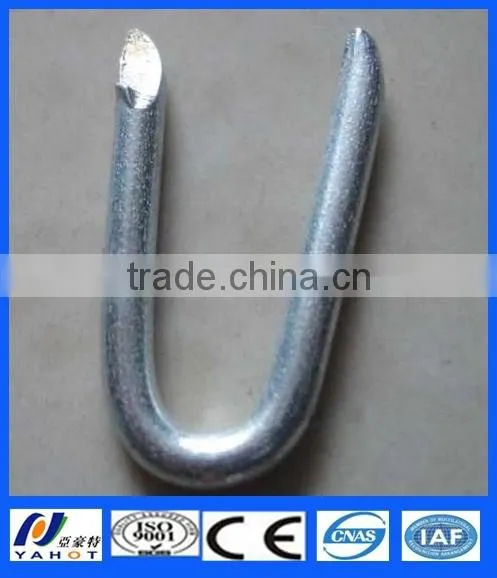 Galvanzied U Shaped Nails