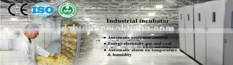 Alibaba best quality CE 440 egg incubator for chicken egg incubator price cheap chicken incubator machine HJ-I5