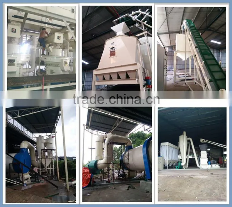 Thailand Palm Bunch Wood Pellet Making Machine Price,Pellet Output 1-1.5t/h
