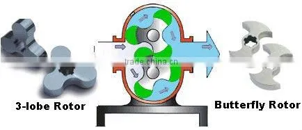 Stainless steel lobe pump