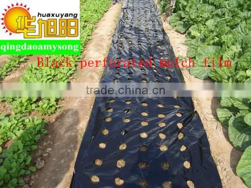 Blow molding agricultural HDPE plastic film roll factory