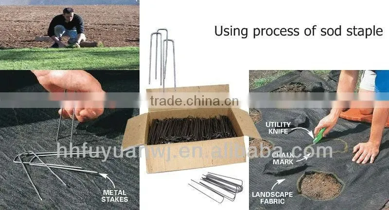sod staple