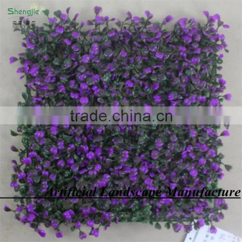 SAS162013 Dark Purple Boxwood Hedges Mat