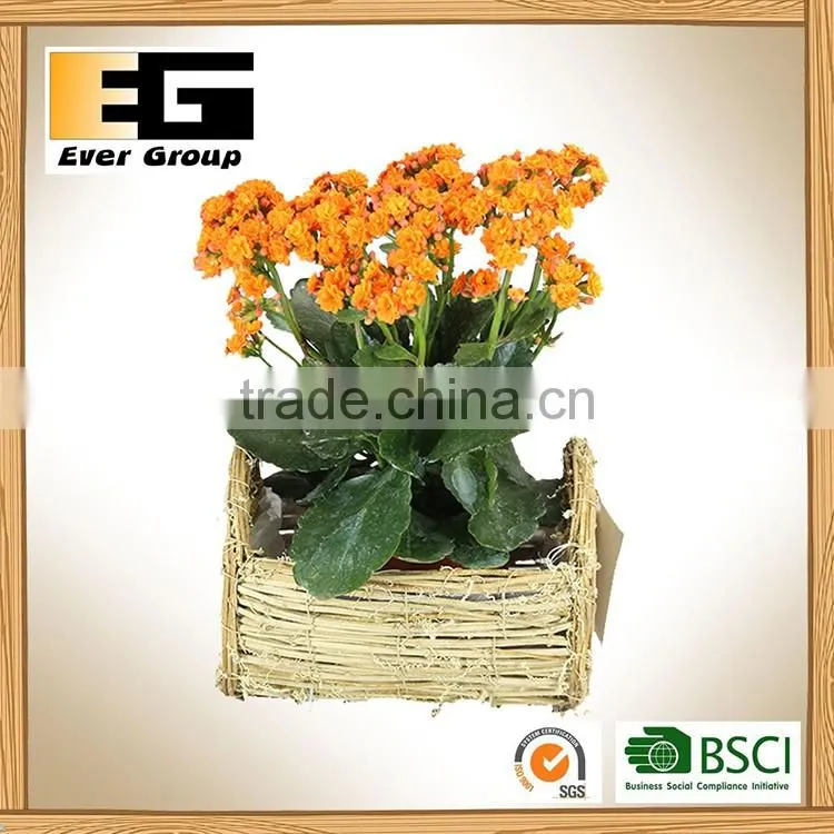 Nature rattan bucket shaped flower pot