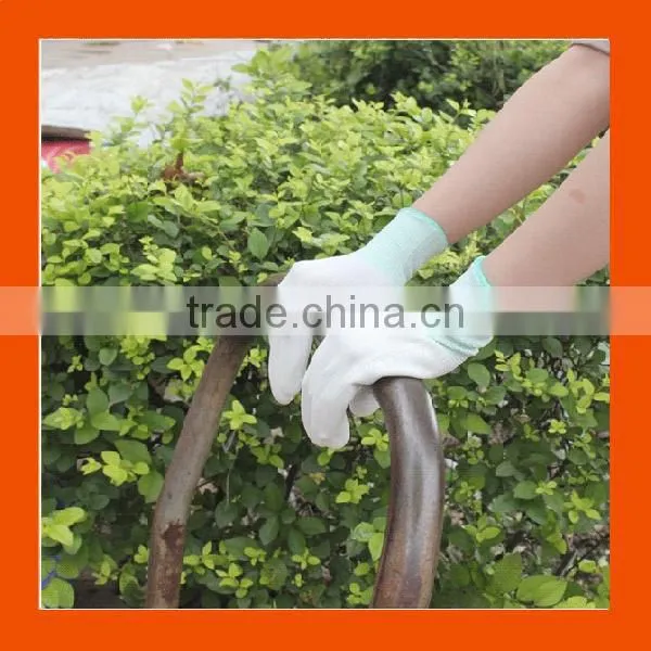 Economy Polyurethane Gloves