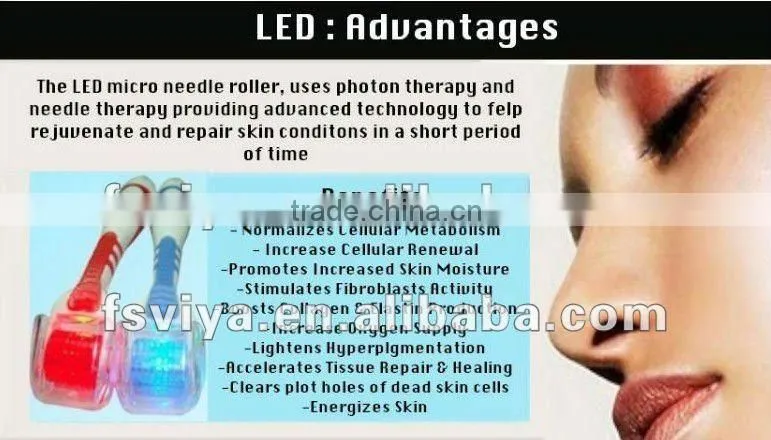 DR003 Hottest Collagen Injection 540 Needle Dermal Roller
