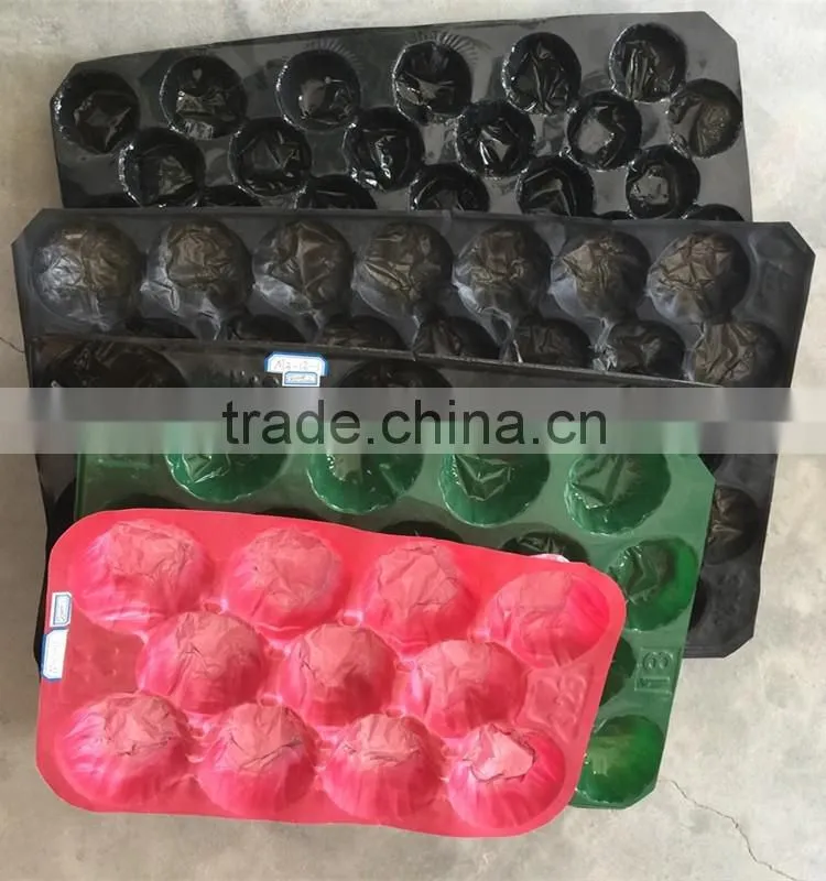 strawberry protective epe foam tray