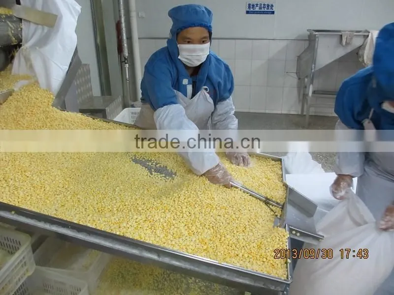 IQF Frozen sweet corn kernel Jinfei Cuiwang huazhen variety