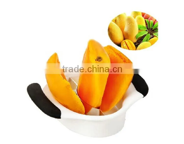 Plastic apple slicer and divider