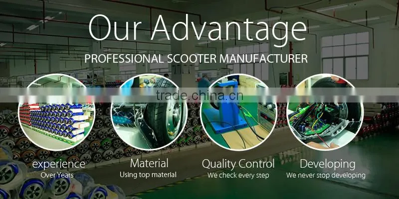 Bedicar Self Balancing Scooter Parts Manufacturer Self Balancing Scooter Shell