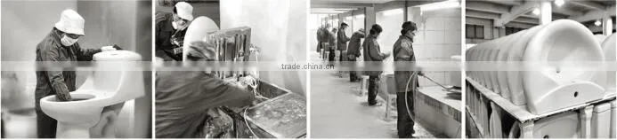 Toilet portable toilet