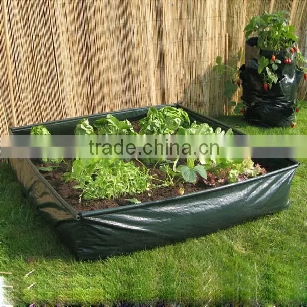 Environmental Friendly PE Salad Growing Bag,Reusable Salad Planter Bags,Salad Planters