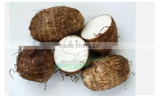 New fresh taro/Natural taro/new crop Chinese taro