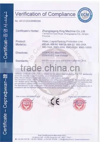 PET Plastic Juice Bottling Machine