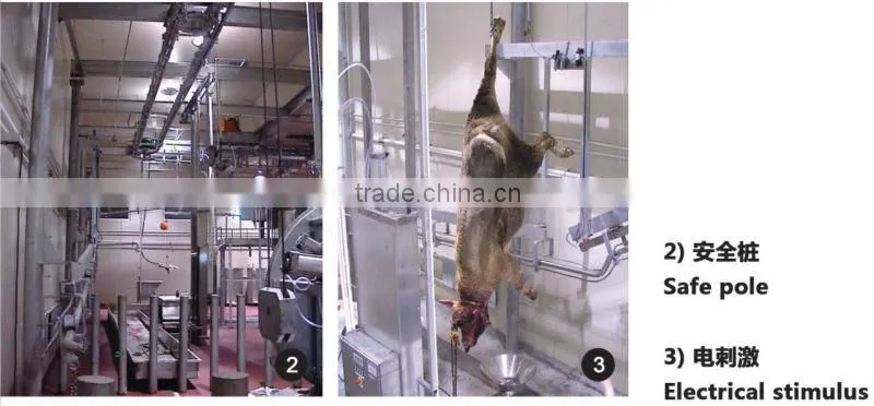 Hot sale cattle slaughter line bloodletting converying line