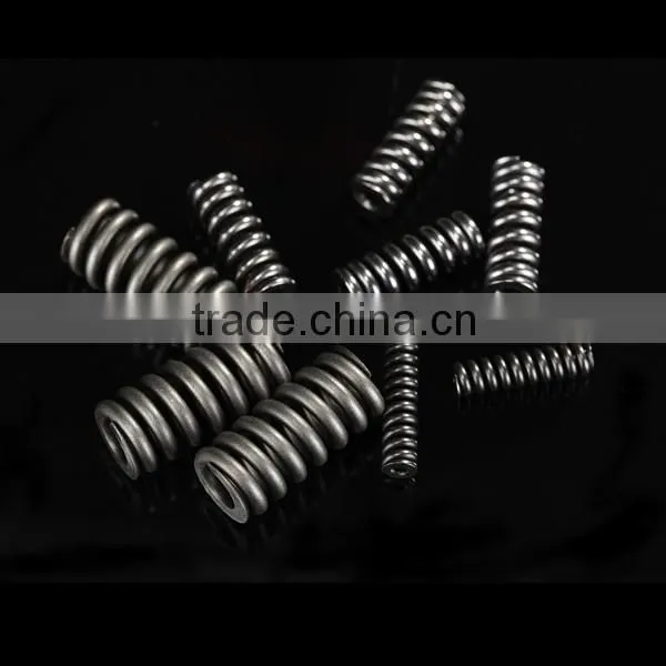 Bosch Fuel Injector Spring 2434619017