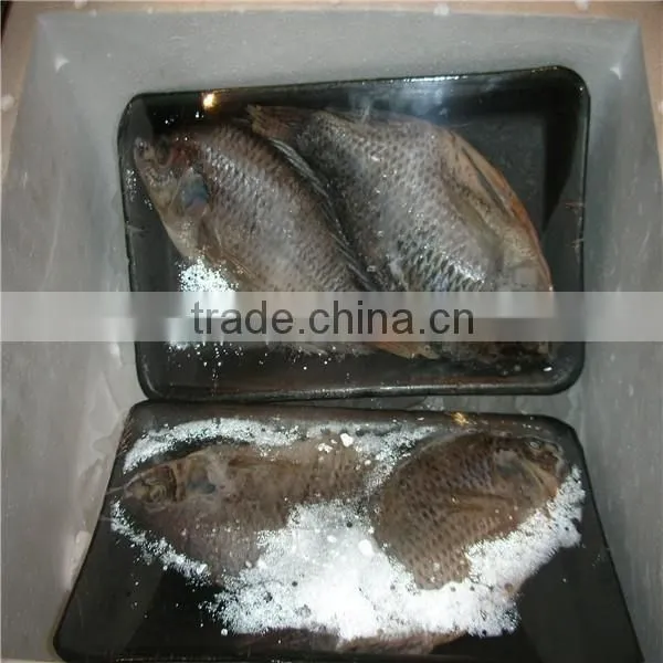 Pillow Type Frozen Seafood, Fish Shrink Packaging Machine