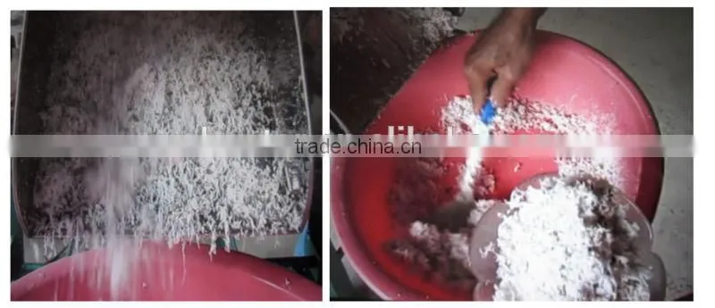 Stainless Steel Coconut Paring Machine / Coconut Grater