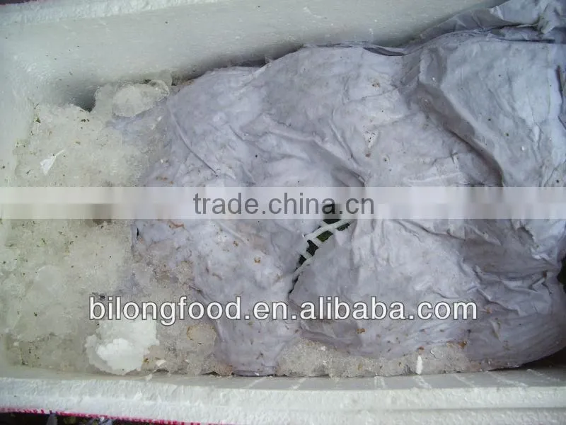 2016 (11-13cm ) chinese fresh broccoli