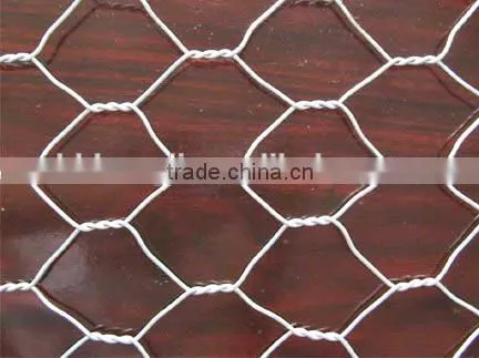 Stainless Steel Hexagonal Weaving Wire Netting/chain link mesh /protection netting
