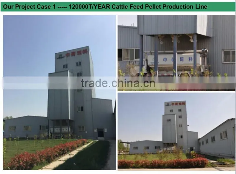 Our Project Case _ Henan Richi Machinery _ Pellet Machinery _ Feed Pellet Plant