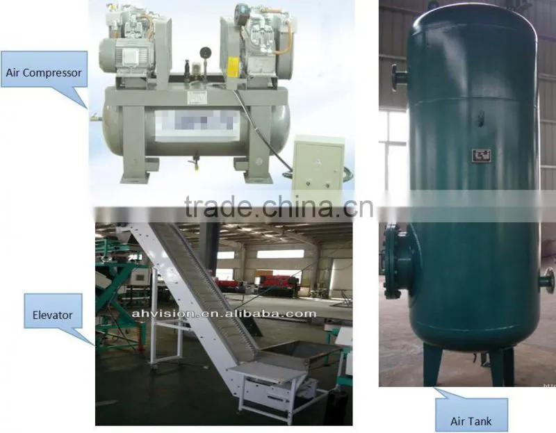 garlic color sorter, belt color sorter