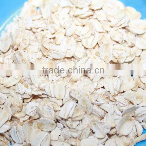 Bulk Whole Grain Oatmeal/ Raw Material Oatmeal