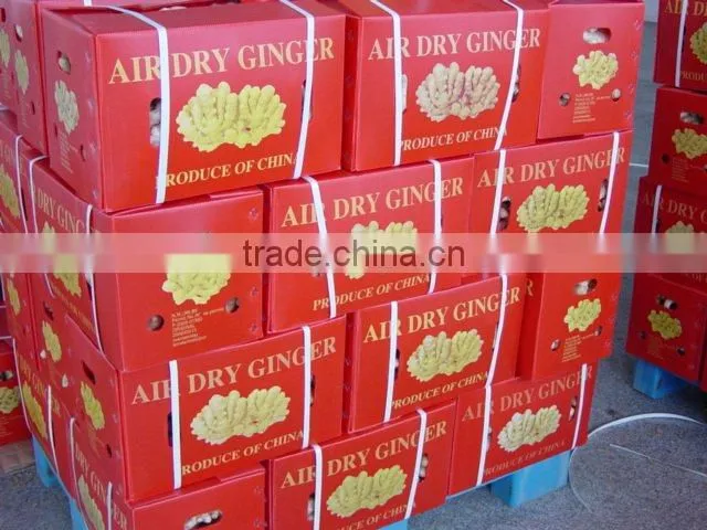air dry ginger