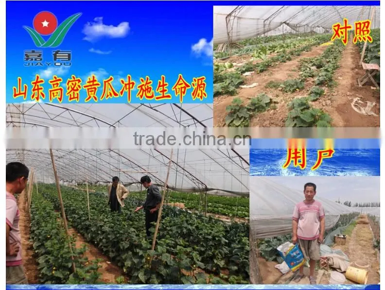 Fulvic Acid Water Soluble Series NPK Fertilizer, Suitable for Field and All Kinds of Economic Crops