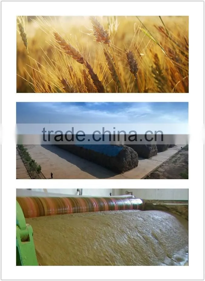 Eco Friendly Biodegradable Wheat Straw Disposable Hot Soup Salad Deep Paper Bowl