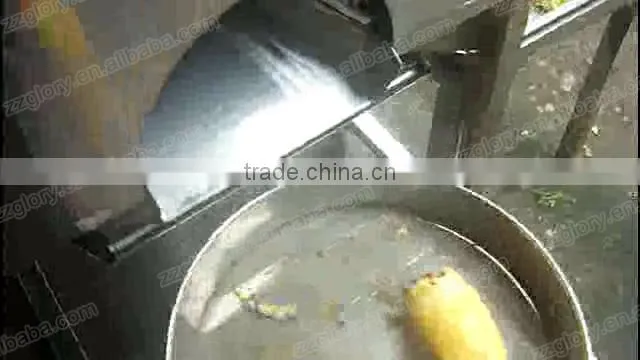 Best Price Pineapple Peeling Machine, Pineapple Peeler