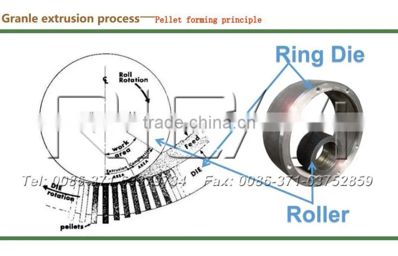 CE Approved 8 T/H Ring Die Poultry Chicken Cattle Cow Sheep Feed Manufacturing Machine