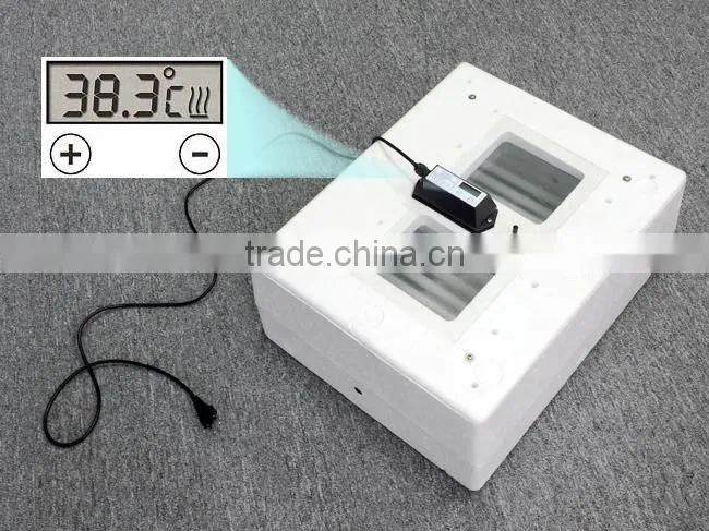 small Egg Incubator