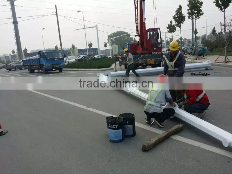 High quality Hot dip galvanized Double arm street light pole of CE
