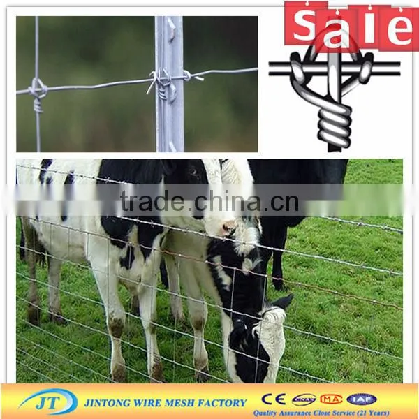 galvanized cheap wire mesh security black horse fences