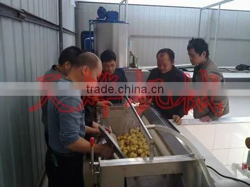 Guangxi Y. L. Vegetable Processing Factory