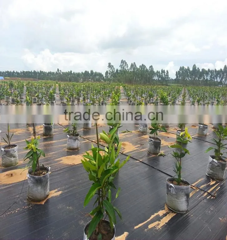 weed control mat ,ground cover,silt fence selvedge, pp woven fabric roll low price ,black color,chinese wholesale manufacturer