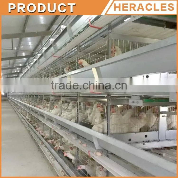 Heracles factory price poultry equipment automatic layer chicken egg cages