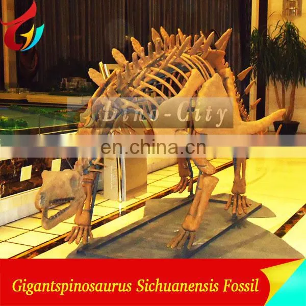 indoor display fiberglass life size dinosaur skeleton