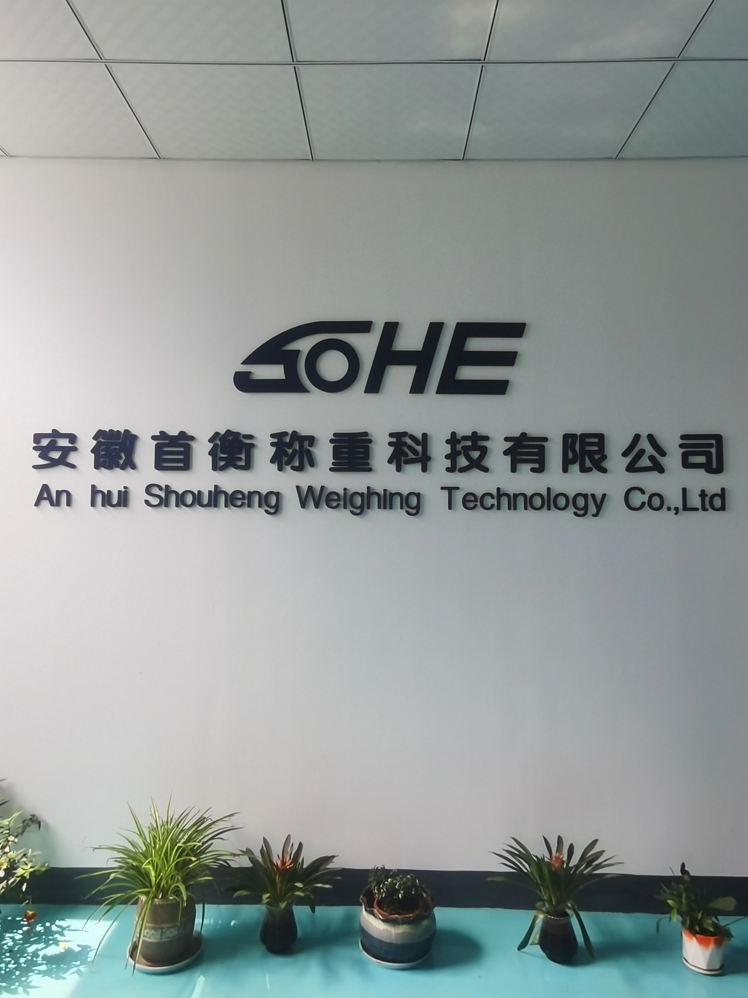 Anhui Shouheng Weighing Technology Co., Ltd. company overview - view 1