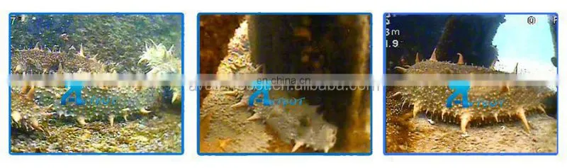 made-in-China good quality military camera drone underwater AVT-75