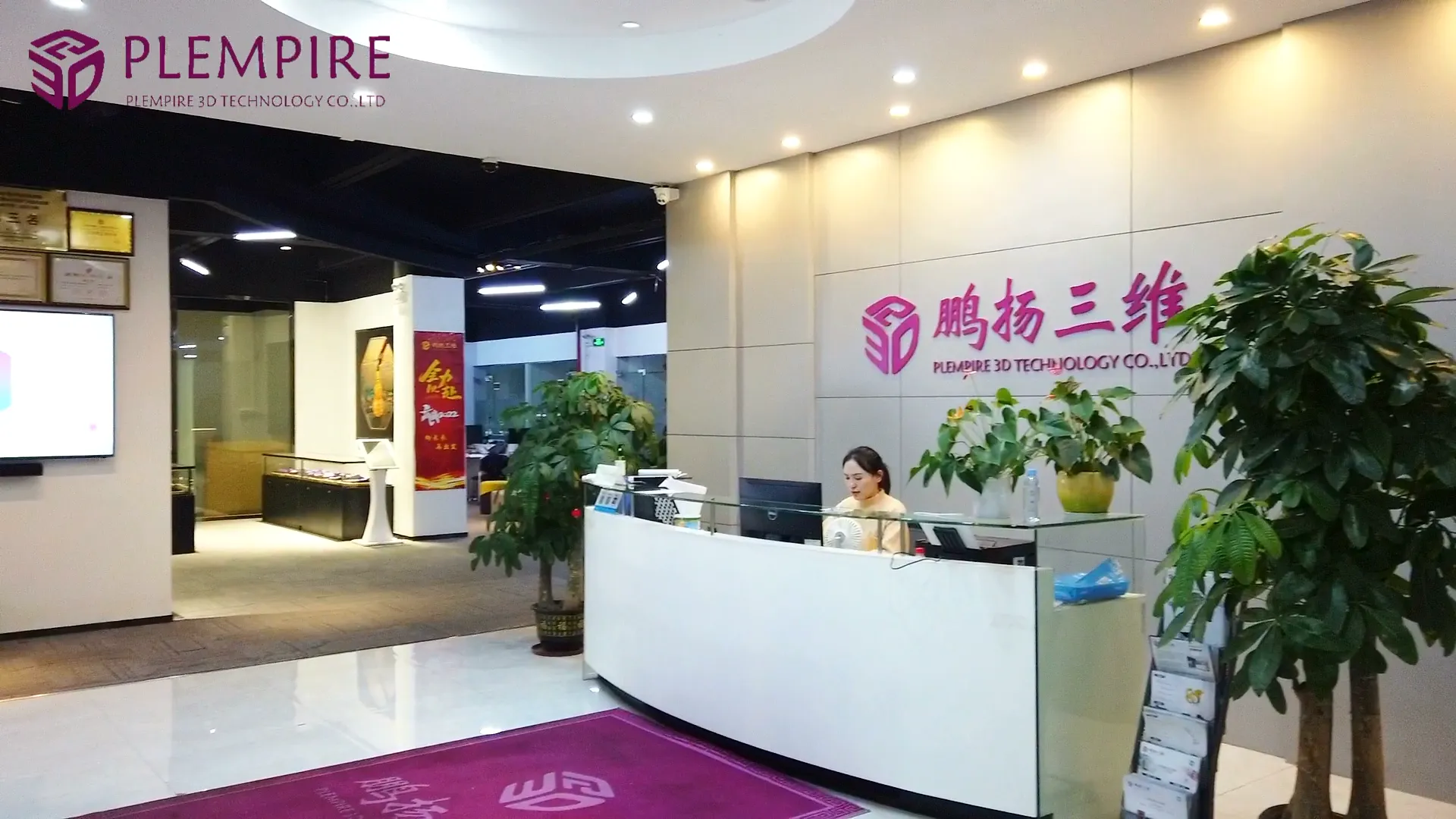 Shenzhen Plempire 3D Tech. Co., Ltd. company overview - view 1