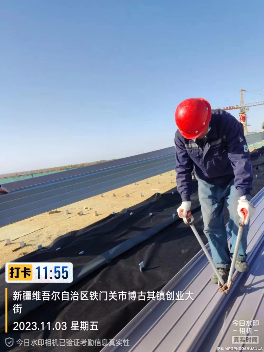 微信图片_20231103164412