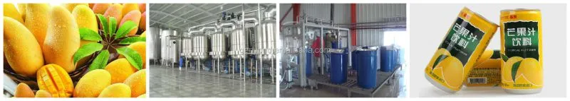 Large Capacity Single Channel Mango Fruit Pulping Machine Fruit Grinding Machine Fruit Juice Pressing Machine