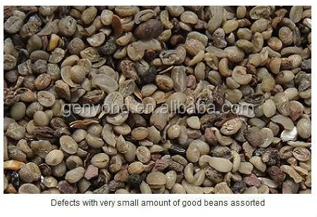 Color Sorting Machine for Coffee Beans and Nuts Bean Grading Equipment Product Type Nuts Processing Machinery