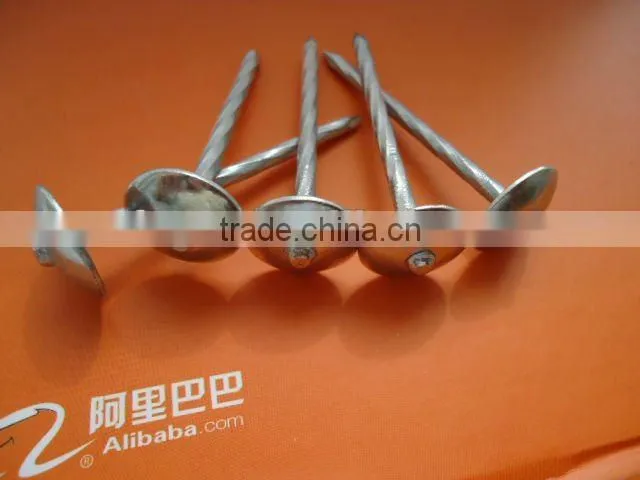 bulk umbrella roofing nail manufacturer