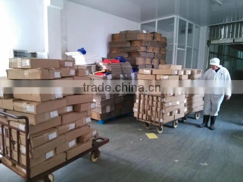 jack mackerel tin fish Horse Mackerel hot saleing overseas