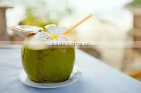 Bottled Orginal Coconut Water Brand Cocoxim Made in Viet Nam